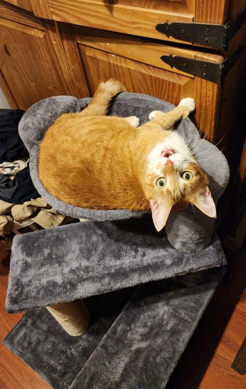 Heck, telling everyone how much he enjoys his new tower