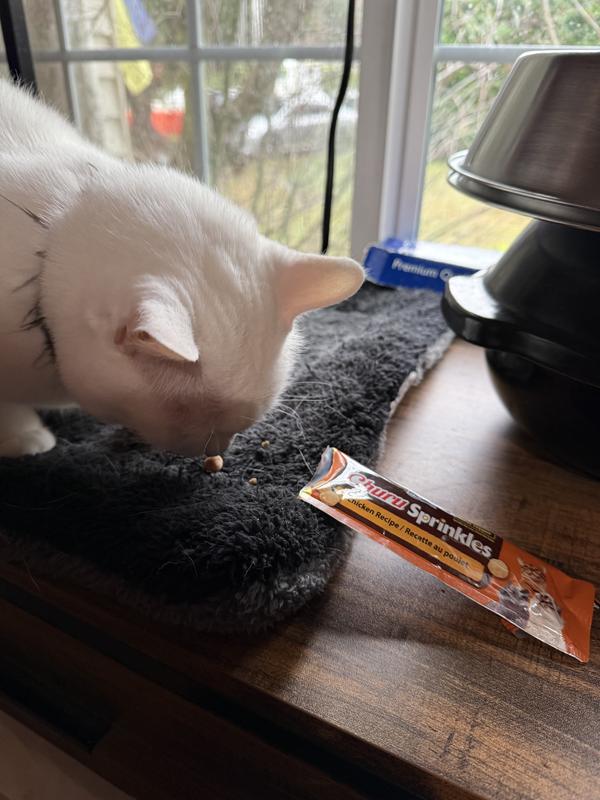 Kitty scarfing up the Churu