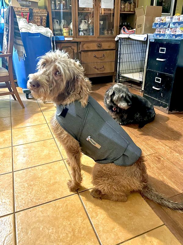 Dog Thunder Jacket ThunderShirt Polo Dog Anxiety Jacket Vet