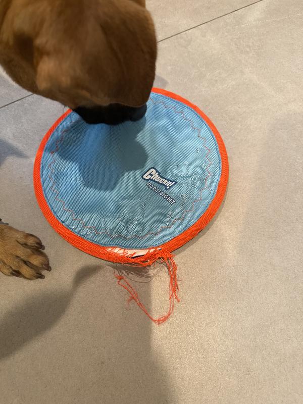 After less than 10 minutes of chewing — completely unraveled and headed straight to the trash.