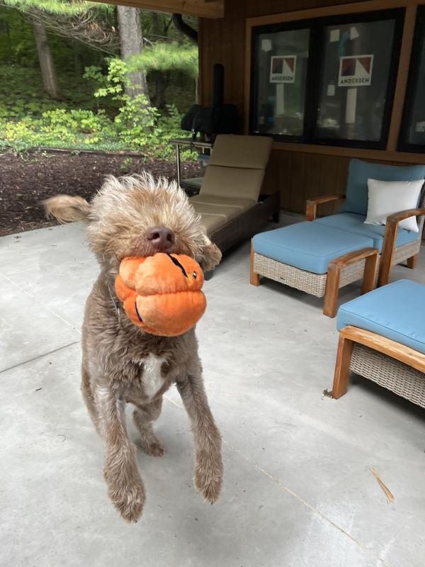 Let the good times roll baby!