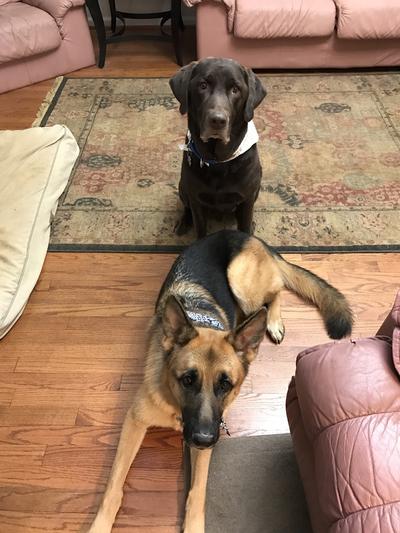 Marshall and Rivkah are big fans!