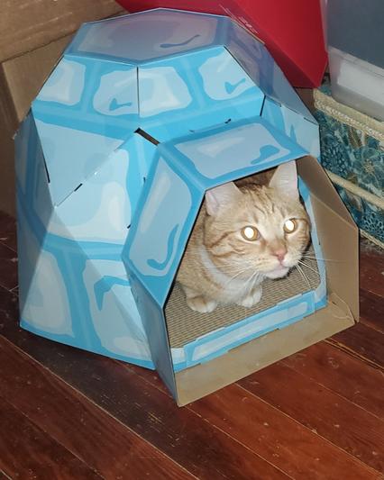 Goose in his safe house.