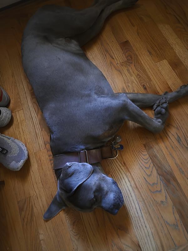 Food coma!