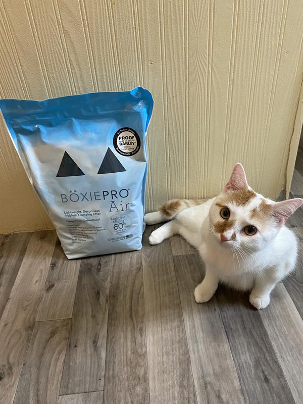 BOXIECAT Air Probiotic Lightweight Clumping Cat Litter reviews