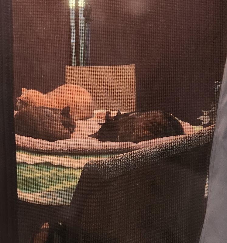 Staying warm during cold weather.