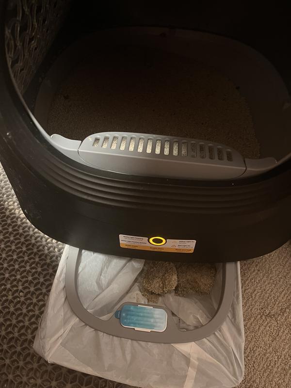 Litterbox in bedroom with photo of disposal bin underneath