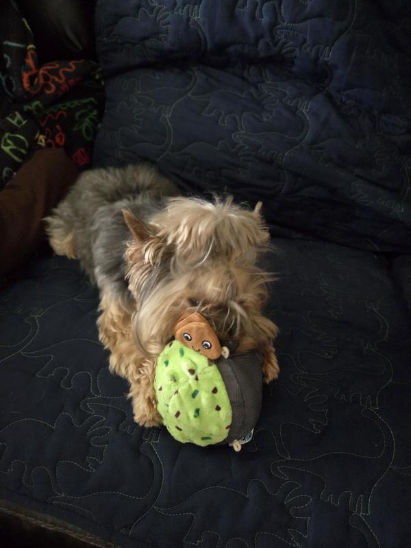 It's all mine. Squeak Squeak