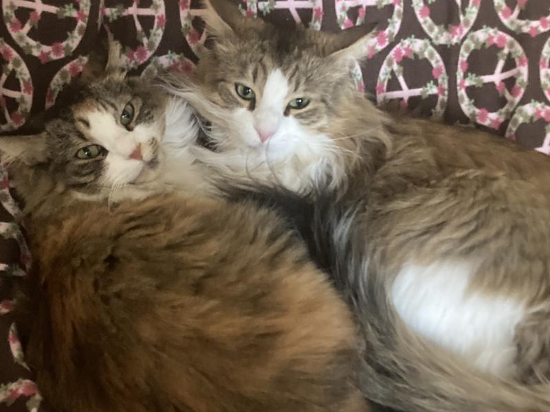 Dolly & her son Oliver❤️