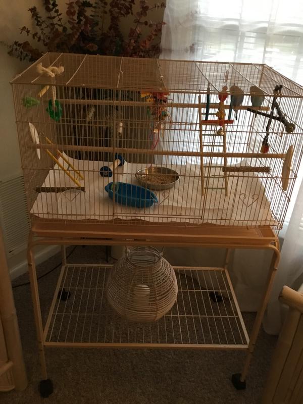 Rolling stand makes this cage exceptionally nice.