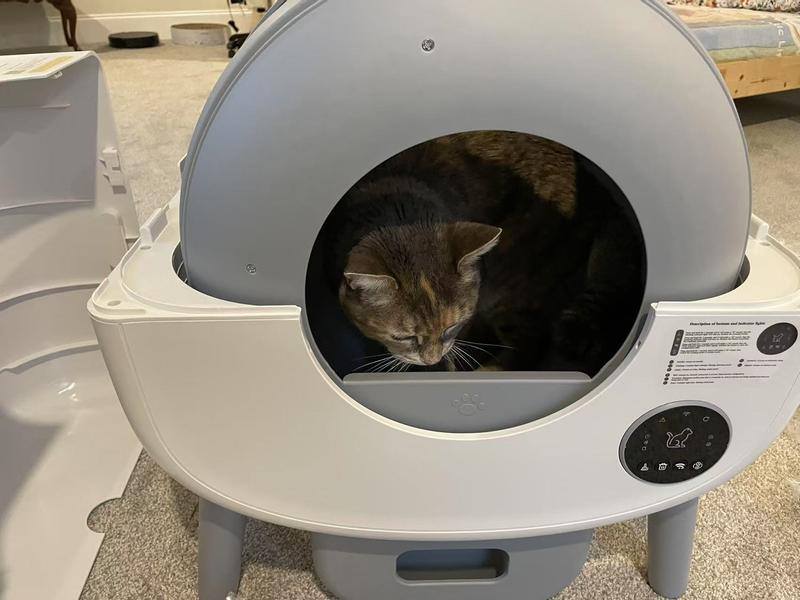 Big space inside for her