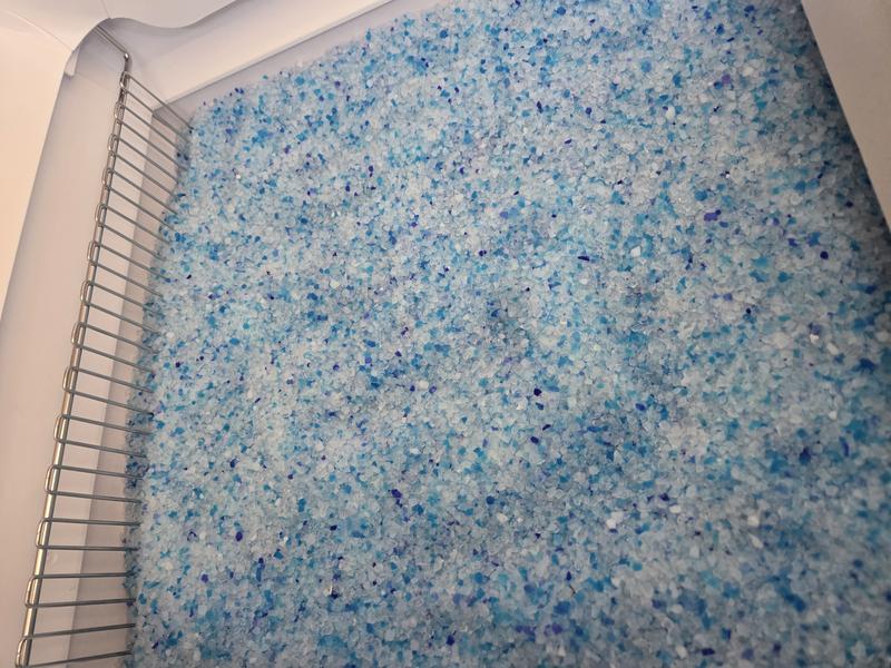 The crystal litter is eye catching