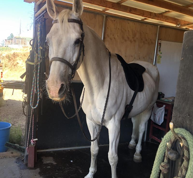 AJ looks good in it, too : )