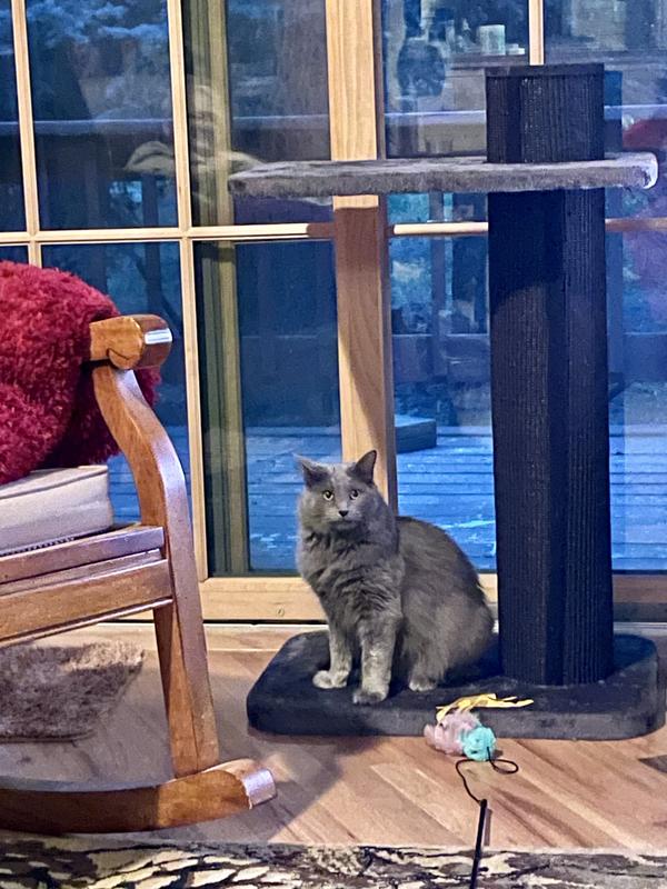 Superior Color Choice!