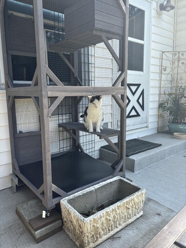 AIVITUVIN Catio Outdoor Cat House Chewy