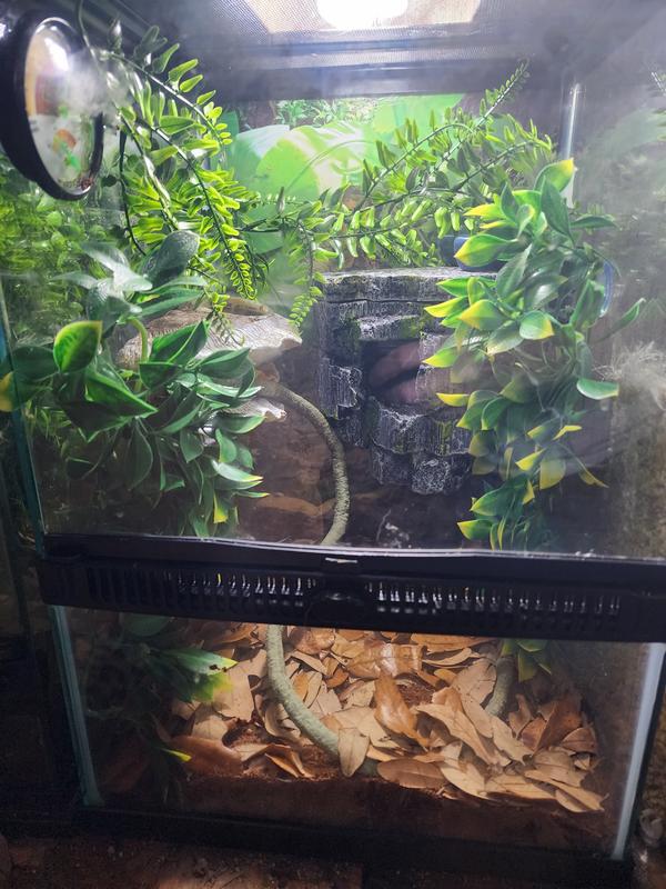 Exo Terra Mandarin Plastic Plant, Large