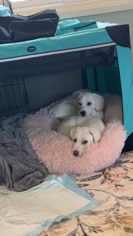 I know they are on the same side but, they both fit on each side with room to stretch out.
