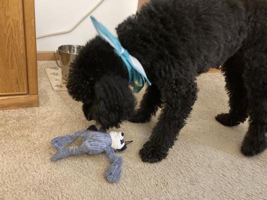 Best birthday present