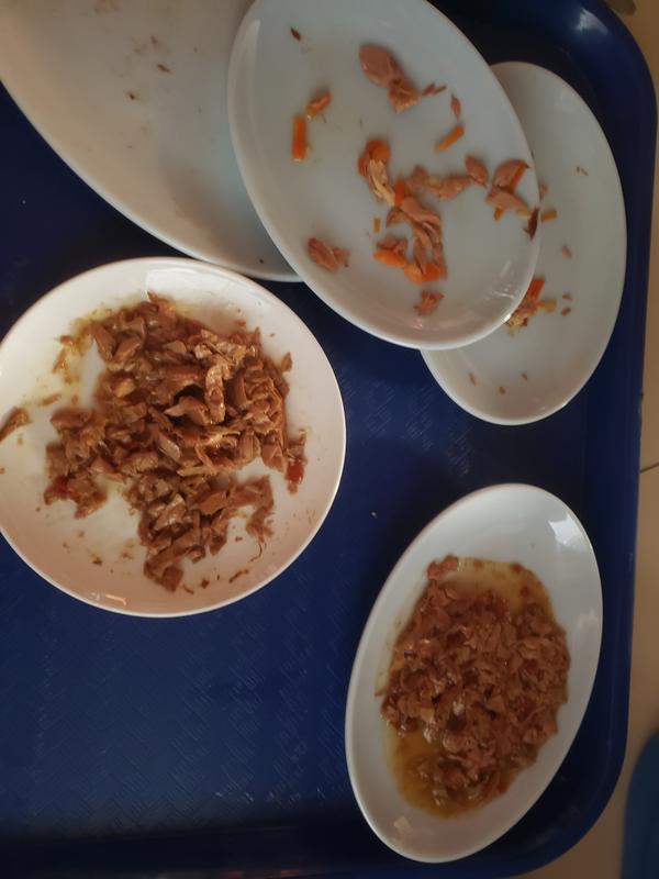 only plates ntouched