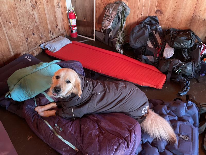 Hurtta Extreme Overall Insulated Dog Snowsuit, Blackberry