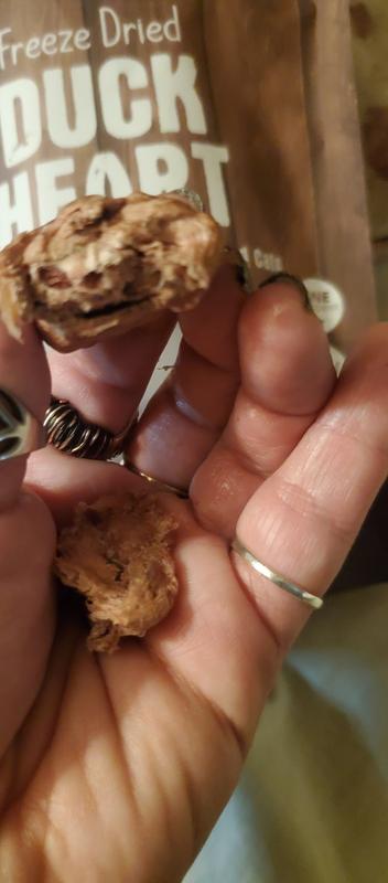 Broken into pieces this is what the inside looks like