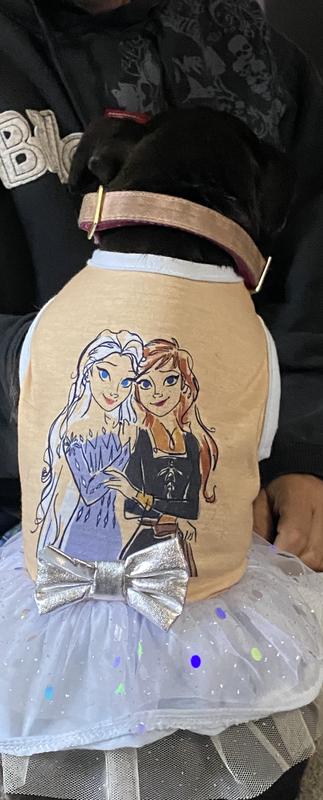 Frozen dress