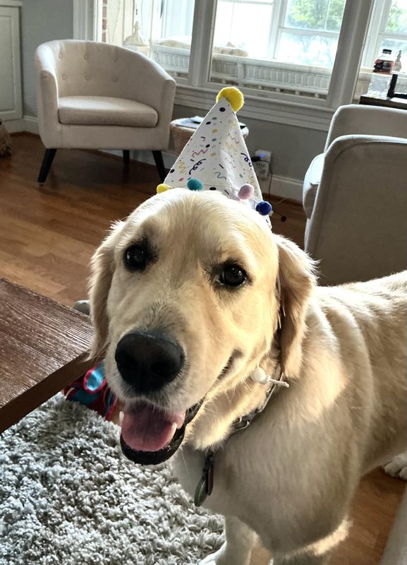 Celebrating his 3rd BD
