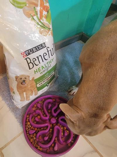 PURINA BENEFUL Healthy Weight with Farm Raised Chicken Dry Dog