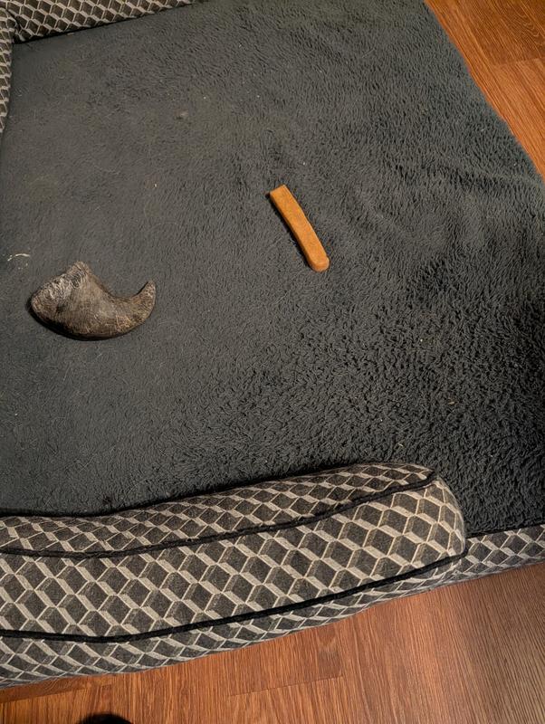 Package of 3 cheese chews received.