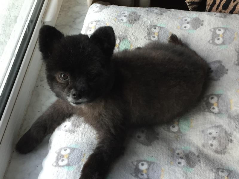 This is my Little Bear