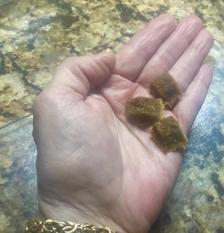 Mommy Lemme at Those Squirrels!