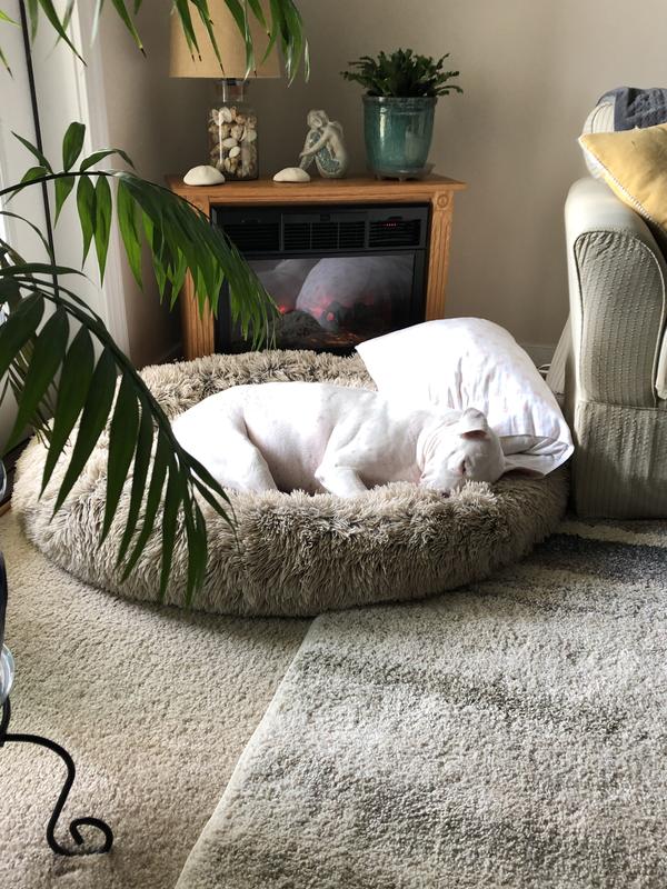 I luv luv luv my bed