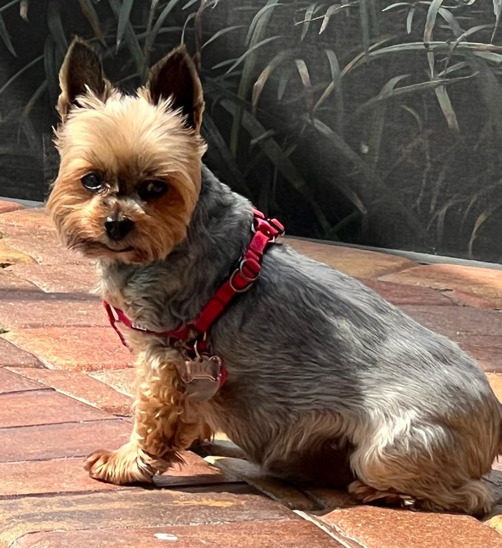 Poolside is Ella’s favorite lounge area