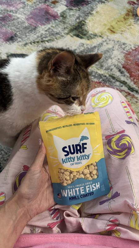 Bars waits for the treat bag to open