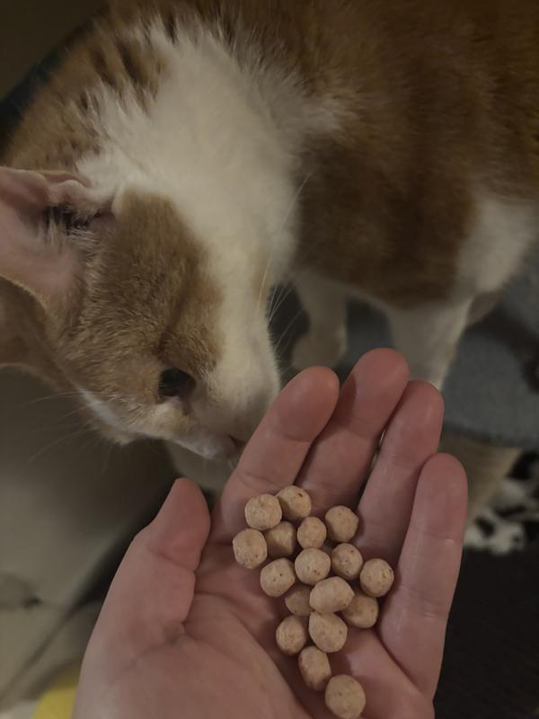 Soft kibbles that smell great!
