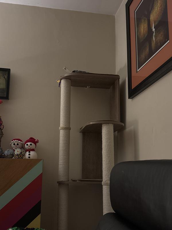 Cat tower in the corner of an old house, still standing after a month of rough play