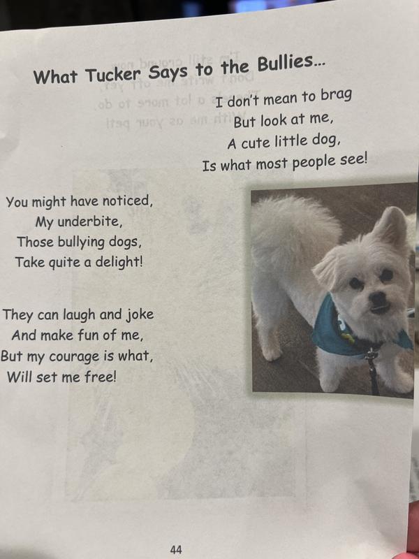 Two of the poems I liked