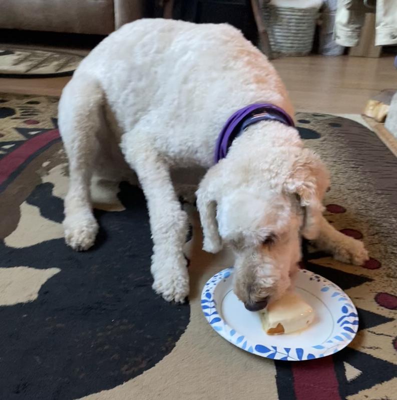 Not a crumb was wasted.