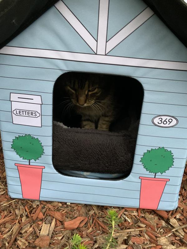 Petco cat house clearance outdoor