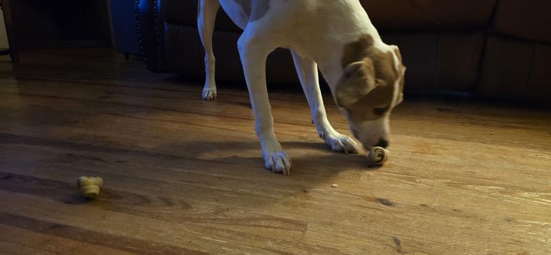 Walter, a few moments later going for one of the ends.