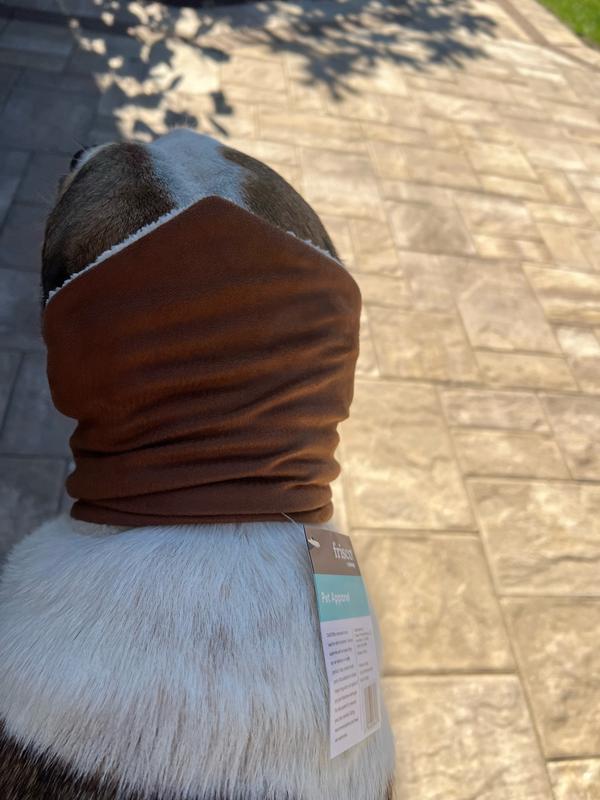 I tried to cover their ears