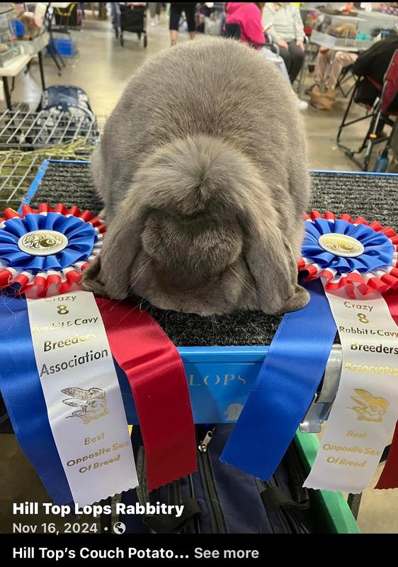 One of my Grand Champions