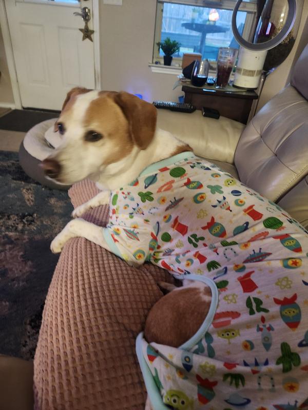 Pixar Toy Story "To Infinity & Beyond" Dog & Cat Jersey PJs