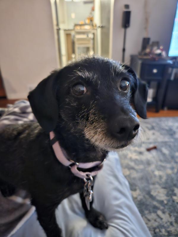 Thinking about licking your face!