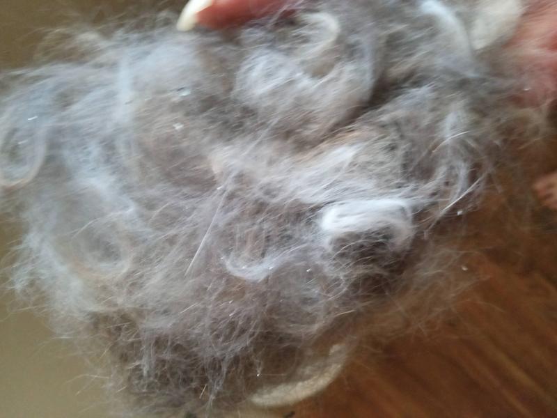 PET REPUBLIQUE Dematting Rake