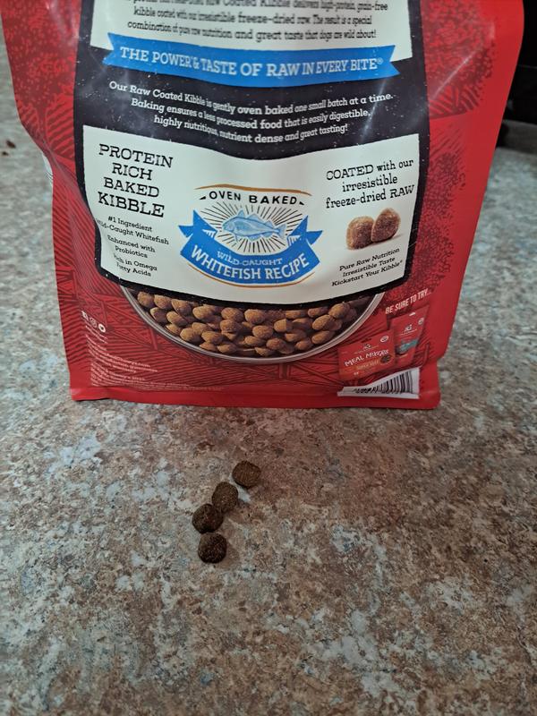 Nice size kibble.  Not too big and not too small.