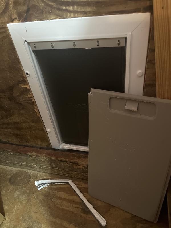 A dog that wants out!