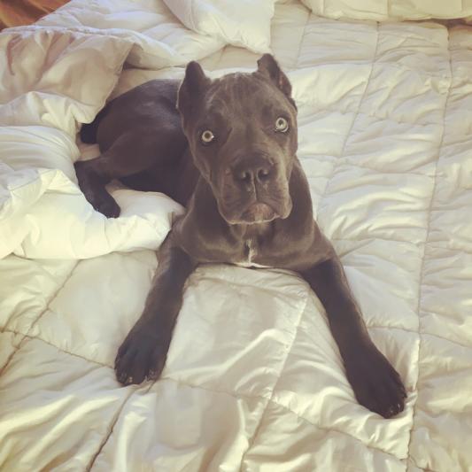 3 months old