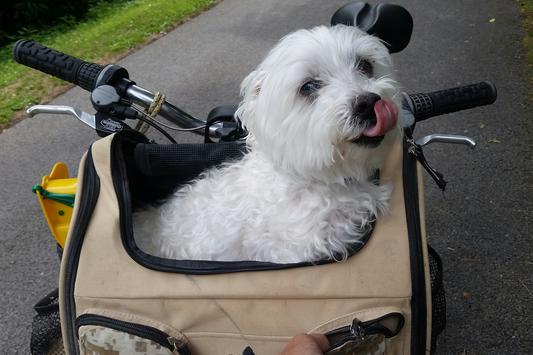 Going for a ride!