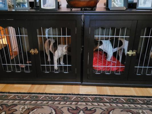 INTERNET'S BEST Double Door Furniture Style Dog Crate & End Table